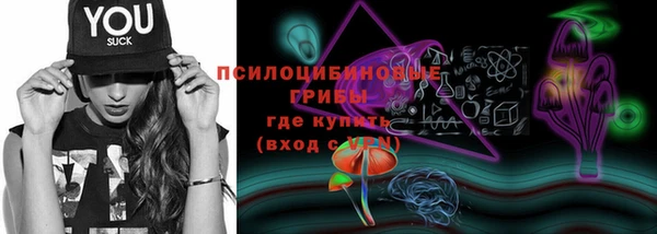 шишки Белокуриха