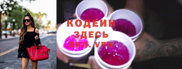 шишки Белокуриха