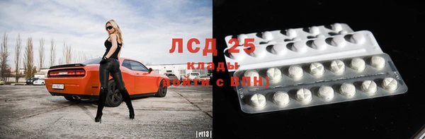 шишки Белокуриха