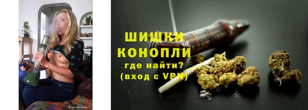 шишки Белокуриха