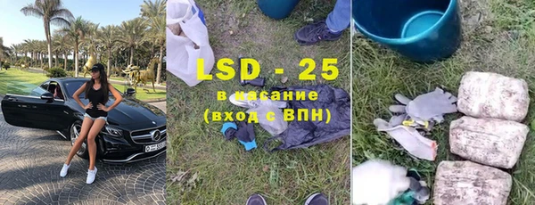 шишки Белокуриха