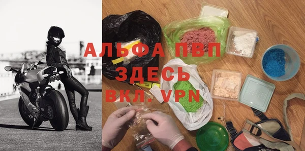ПСИЛОЦИБИНОВЫЕ ГРИБЫ Белоозёрский