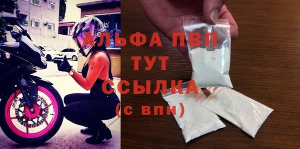 шишки Белокуриха