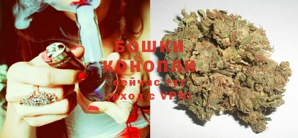 ПСИЛОЦИБИНОВЫЕ ГРИБЫ Белоозёрский