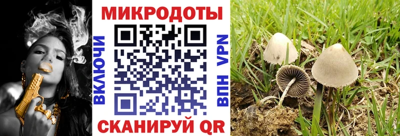Псилоцибиновые грибы GOLDEN TEACHER  где купить наркоту  Мглин 