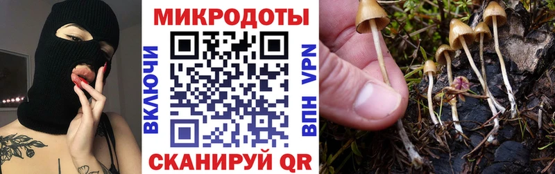 Псилоцибиновые грибы прущие грибы Мглин